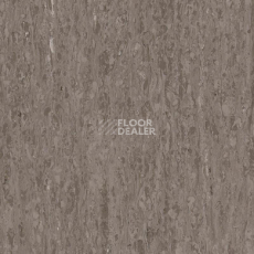 Линолеум Tarkett iq Optima Light brown 0249 фото 1 | FLOORDEALER